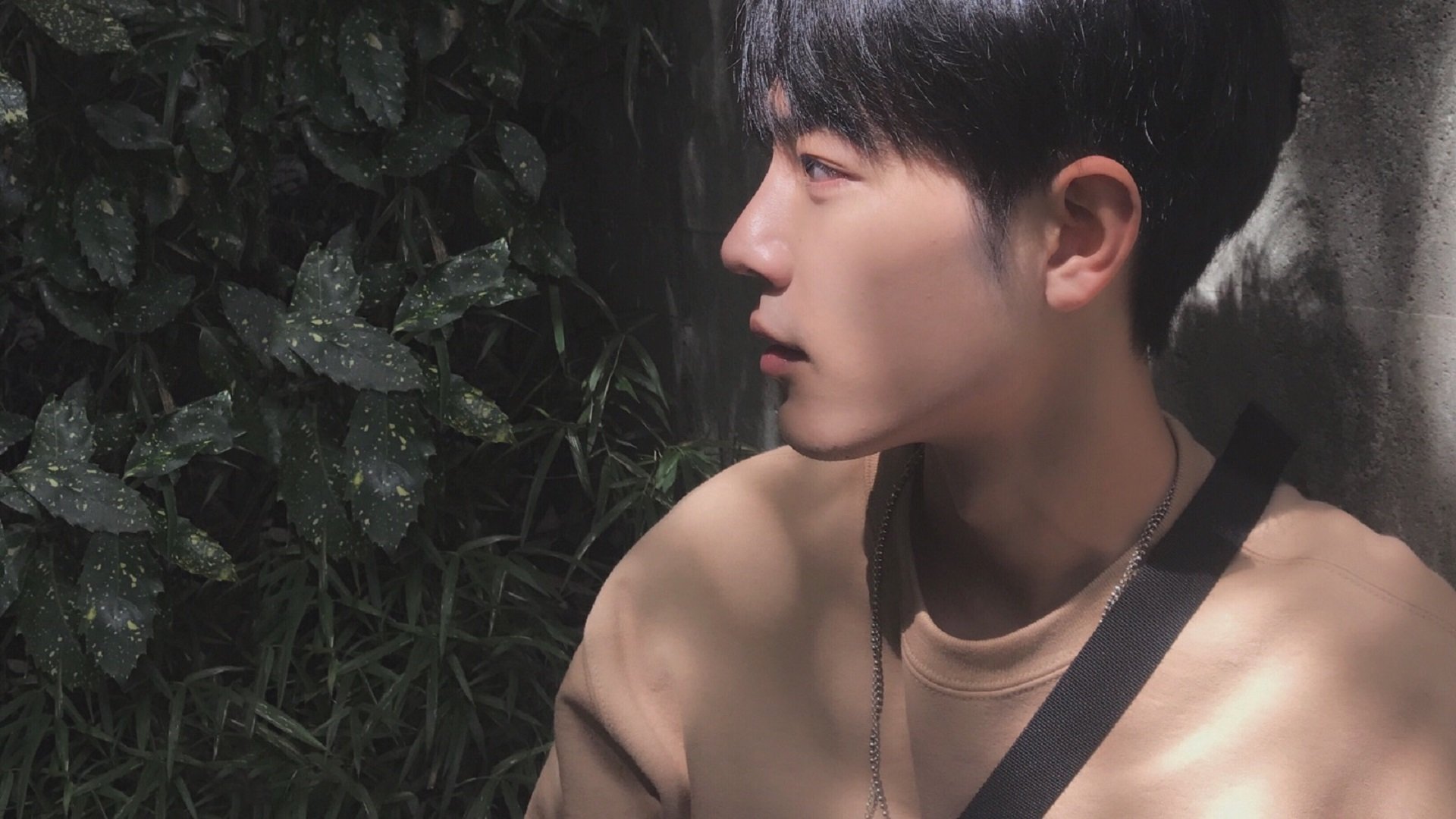 德甲球队高压逼抢环境下认知分配效率对传球精度影响研究，足球高压战术